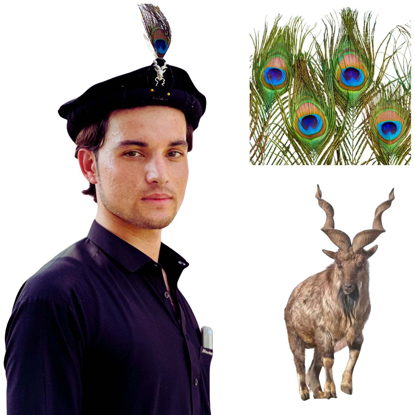 Chitrali Cap with Markhor and Feather | Wool Cap | Premium Quality Chitrali Cap