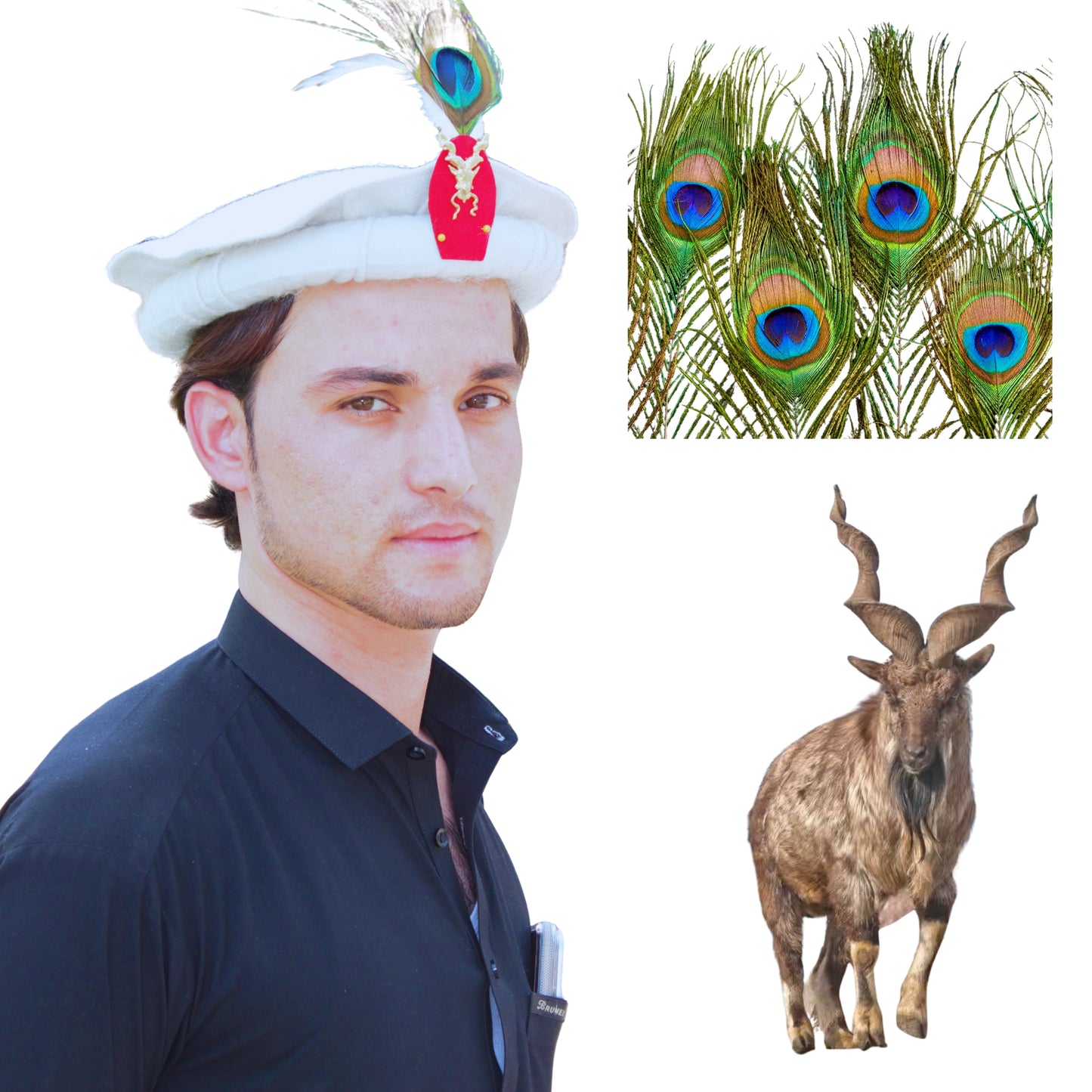 Chitrali Cap with Markhor and Feather | Wool Cap | Premium Quality Chitrali Cap